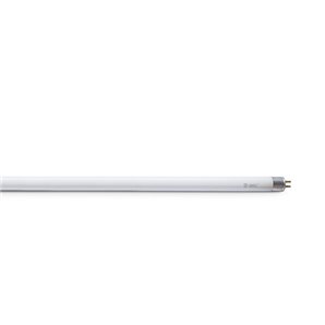 T5 triphosphor fluorescent tube 8W G5 302mm 6400K GSC 002005121 GSC - 1