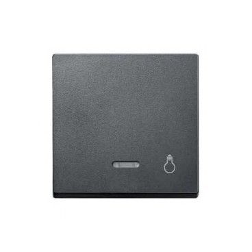 Tecla simbolo luz con visor Antracita SCHNEIDER MTN430914