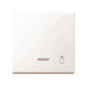 Tecla simbolo luz con visor Marfil SCHNEIDER MTN435919