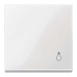 Tecla simbolo luz Marfil SCHNEIDER MTN438919