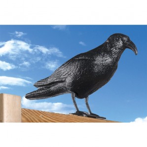 Raven plastico anti pigeons