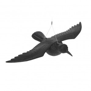 Cuervo 57 centimetri nero 