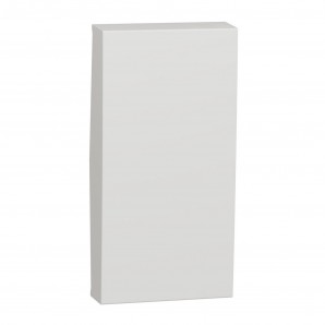 Tecla recambio serie ÚNICA 1 modulo polar SCHNEIDER NU910018U