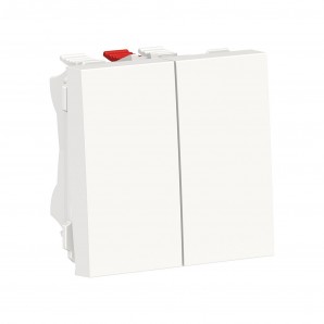 Conmutador doble 2 módulos polar SCHNEIDER NU321318