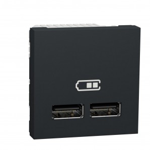 Cargador doble USB 2,1A 1 modulo antracita SCHNEIDER NU341854