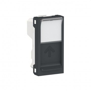 Caratula RJ45 1 modulo Keystone antracita SCHNEIDER NU946054