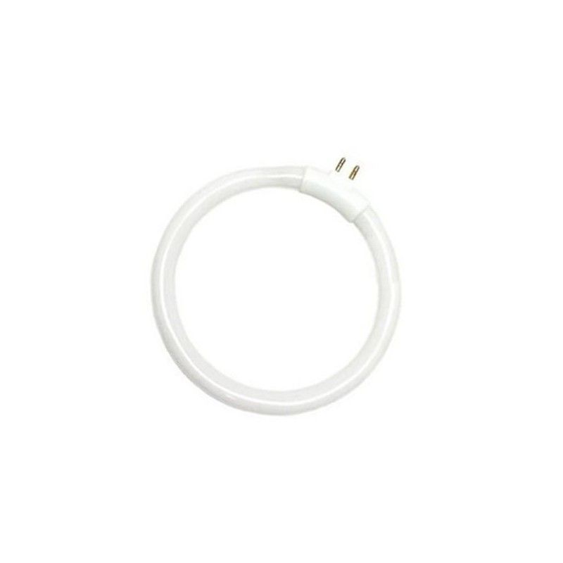 Tubo fluorescente circolare T4 12W 118mm G5 6400K