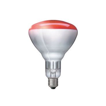 Lâmpada infravermelha PHILIPS 57520325 150W E27