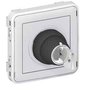 Interruptor llave 2 posiciones E/S plexo