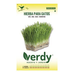 Sobre de semillas de hierba para gatos Verdy 2