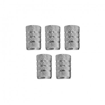 Set von 5 Kappen für Rad Auto Silber
