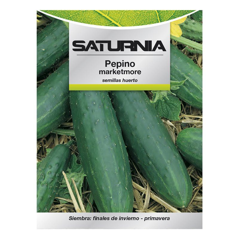 Sementes de pepino Marketmore (5 gramas)