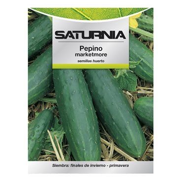Sementes de pepino Marketmore (5 gramas)