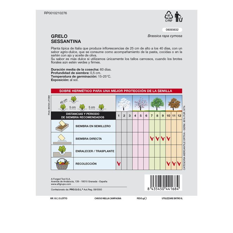 Sementes de Brócolis Grelo (10 gramas)