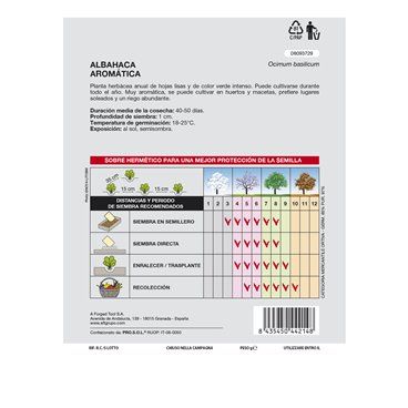 Sementes de manjericão aromático (5 gramas)