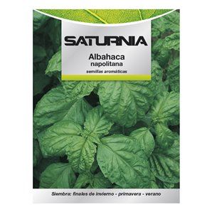 Sementes Aromáticas de Manjericão Gigante (5 gramas)