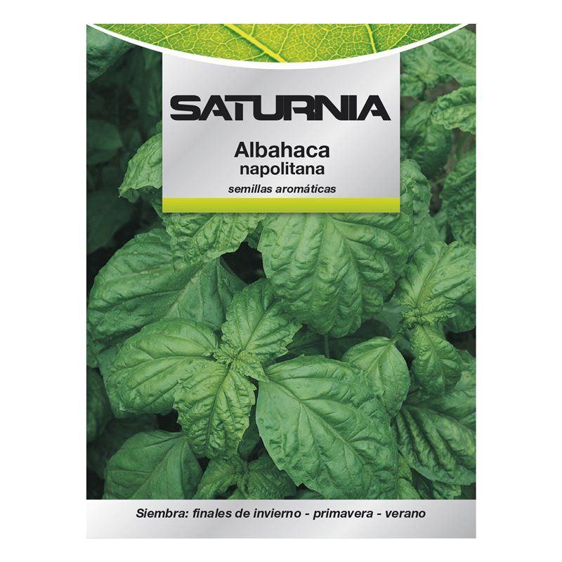 Sementes Aromáticas de Manjericão Gigante (5 gramas)