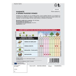 Sementes de Ervilha 2