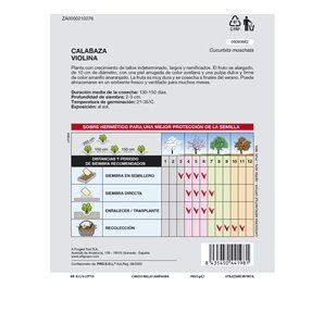 Sementes de jardim de abóbora violino 2
