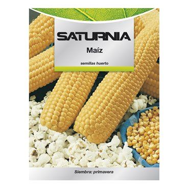Sementes de milho para jardim