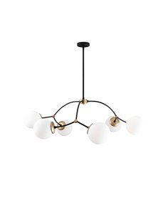 Lámpara de techo de 6 luces con tulipas de cristal Model 5
