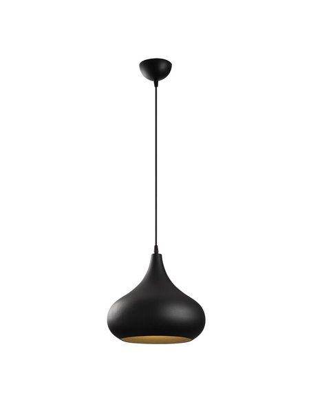 Lámpara de techo colgante negra y dorada Model 22