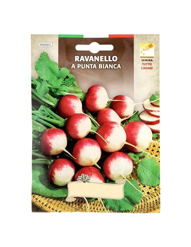 Sementes de jardim de rabanete vermelho com...