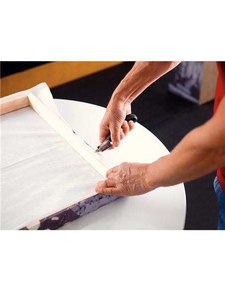 Extrae grapas r3 20000702 rapid
