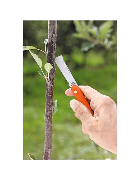 Navaja de injertar 55mm mango de plástico, con levanta corteza.navaja para trabajos de injerto manual, para la jardinería, la po