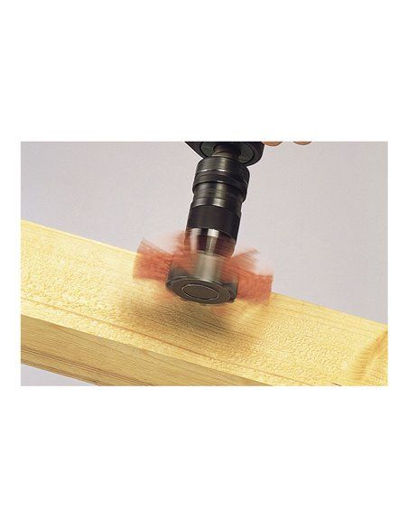 Cepillo de abanico de alambre de nylon, agresivo  diámetro de trabajo: 100mm altura de guarnición: 20mm longitud del alambre: 23