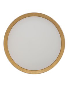 Plafón de techo LED Lea Blanco 72W 3610Lm 3000ºK 2