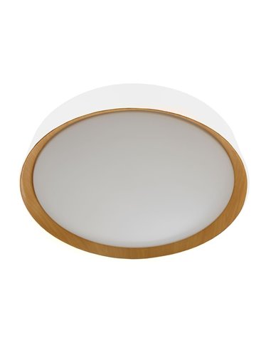 Plafón de techo LED Lea Blanco 72W 3610Lm 3000ºK