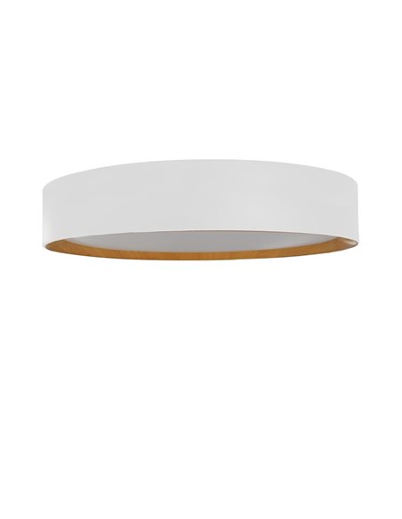 Plafón de techo LED Lea Blanco 72W 3610Lm 3000ºK