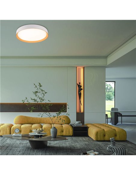 Plafón de techo LED Lea Blanco 72W 3610Lm 3000ºK