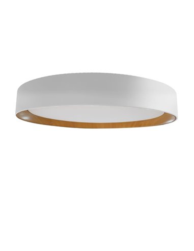 Plafón de techo LED Lea Blanco 60W 3020Lm 3000ºK