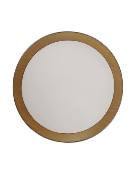 Plafón de techo LED Lea Blanco 60W 3020Lm 3000ºK