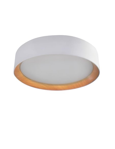 Plafón de techo LED Lea Blanco 60W 3020Lm 3000ºK