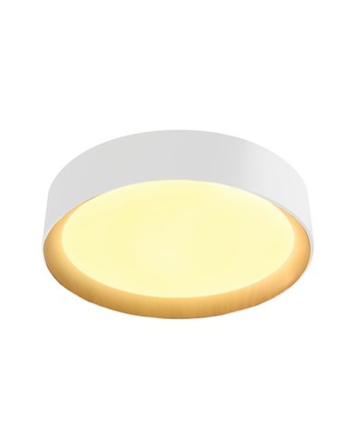 Plafón de techo LED Lea Blanco 60W 3020Lm 3000ºK