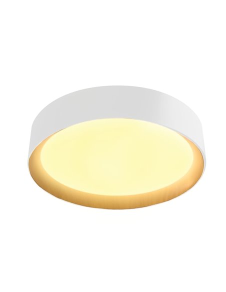 Plafón de techo LED Lea Blanco 60W 3020Lm 3000ºK