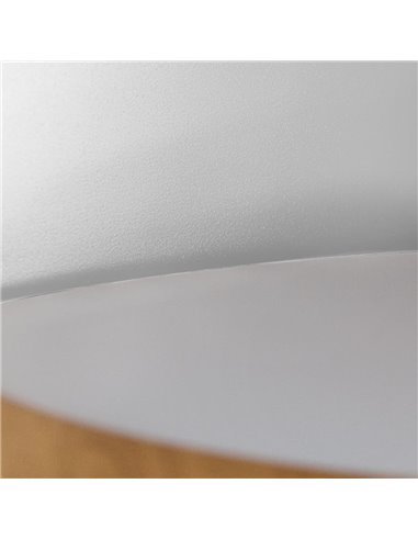 Plafón de techo LED Lea Blanco 60W 3020Lm 3000ºK