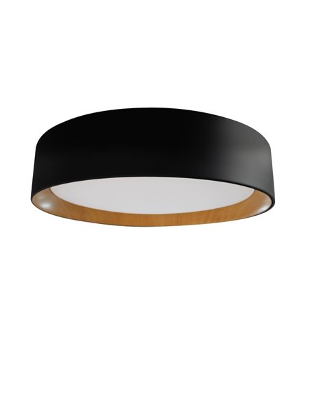 Plafón de techo LED Lea Negro 60W 3020Lm 3000ºK