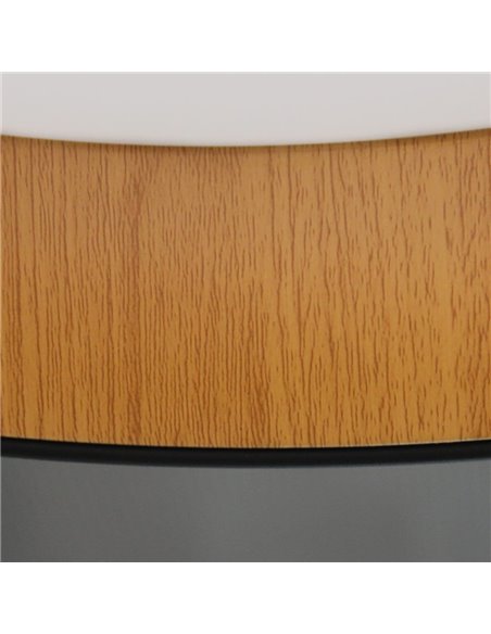Plafón de techo LED Lea Negro 60W 3020Lm 3000ºK