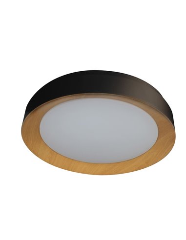 Plafón de techo LED Lili Negro 48W 2650Lm 3000K