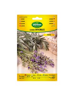 Sobre semillas lavanda officinalis 301031bolsh agreen