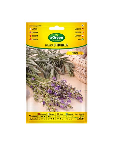 Sachê com sementes de lavanda Officinalis 301031BOLSH Agreen
