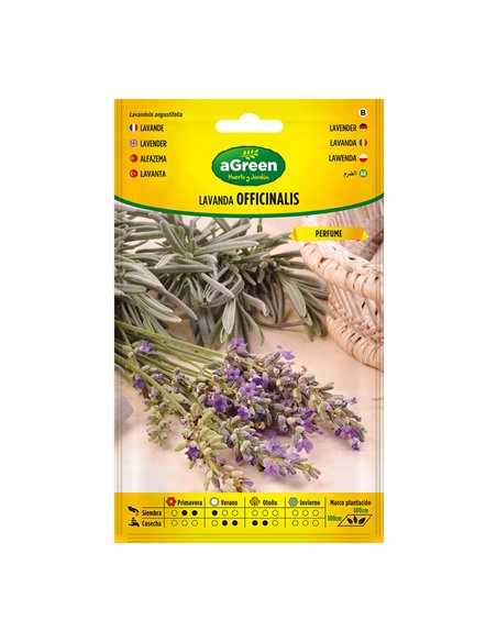 Sobre semillas lavanda officinalis 301031bolsh agreen