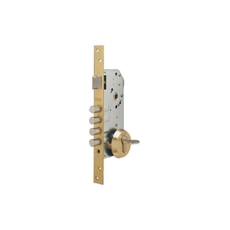 Cerradura Tesa Seguridad R100B566 Esmaltada