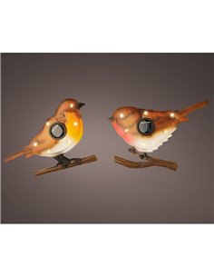 Pájaro solar 894881