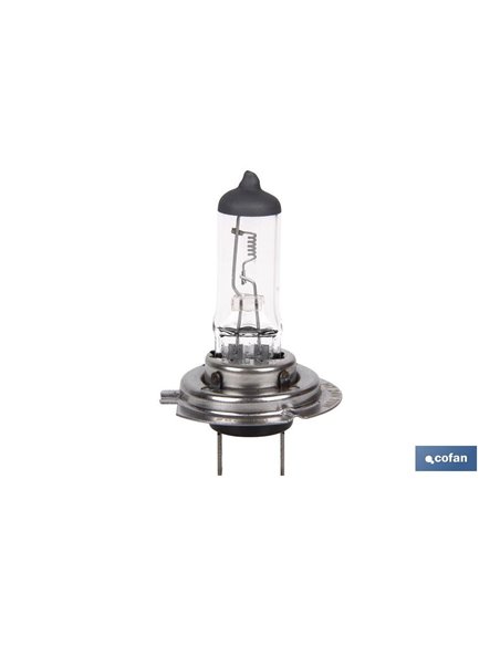 Lámpara halógena cofan h7 (px26d) 24v 70w