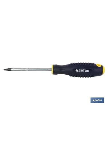 Chave de fenda Inviolab Cr-Molibdênio. T-6x60